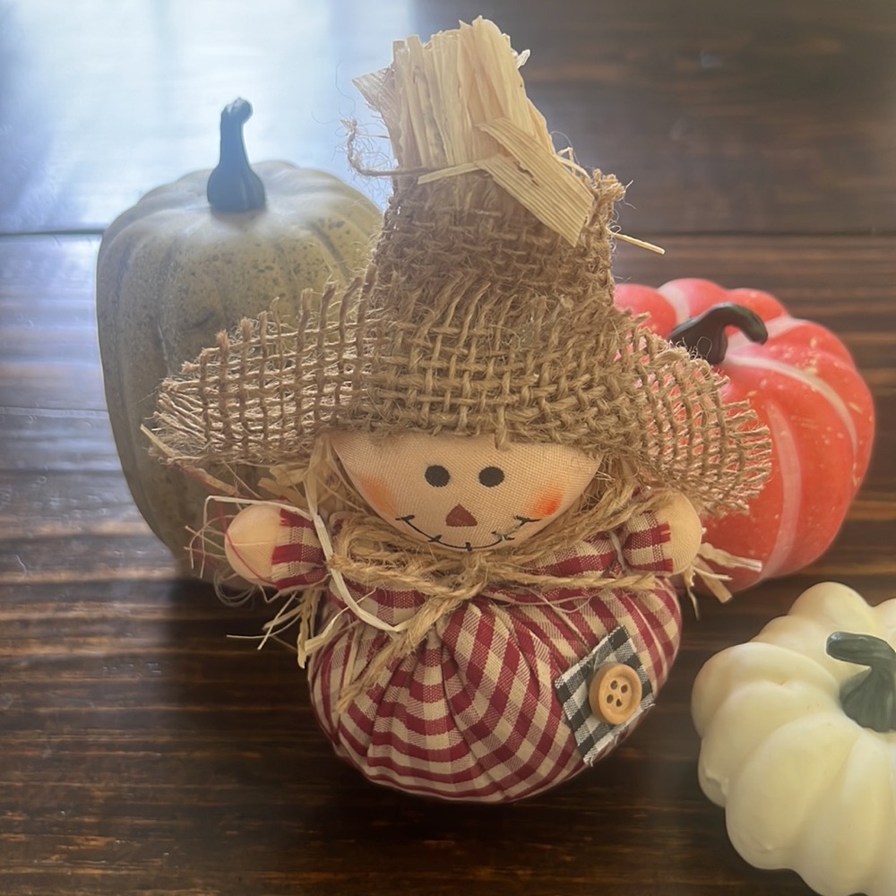 🍂Mini Scarecrow Fall Decor🍂